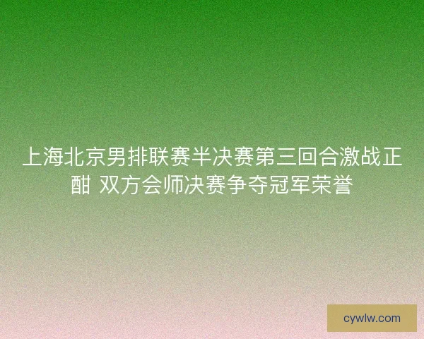 上海北京男排联赛半决赛第三回合激战正酣 双方会师决赛争夺冠军荣誉